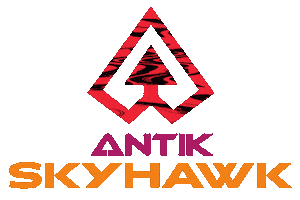 Rollerskating Sticker by Antik Skates