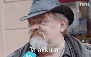 Ja Akkurat GIF
