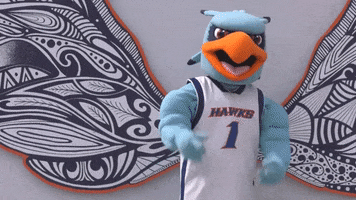 You Got This Hugo GIF by SUNY New Paltz