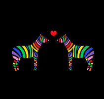 Cameleonmgt GIF