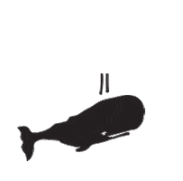 nantucketwhaler Sticker