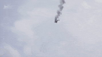 SIMIAN.LA GIF