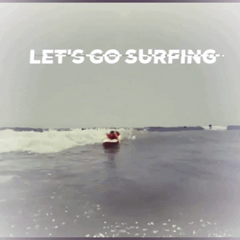 BDSurf surf surfing standup lesson GIF