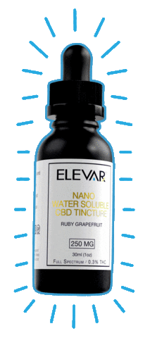 elevarx Sticker