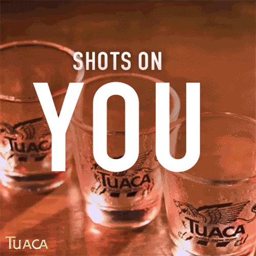 Tuaca cheers drinking drinks shot GIF