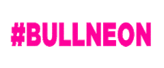 Neon Countryfest Sticker by 98.7 The Bull