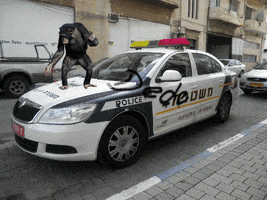 200.gif?cid=fc005b08c047d21a035e948a7c3944f70d60baaf67c95301&rid=200.gif&ct=g