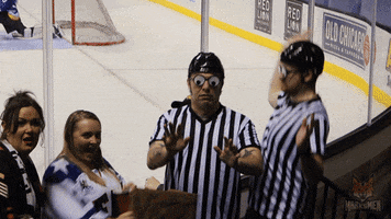 Three Blind Mice Hockey Ref GIF by Fayetteville Marksmen