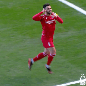 Happy Football GIF by Nottingham Forest