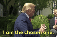 200w.gif