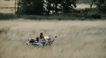 Cruising GIF