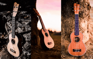Musicero Warehouse GIF