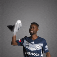 Mvfc GIF by Melbourne Victory FC