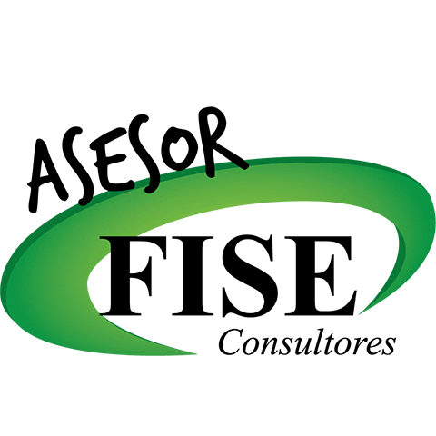 FISE Consultores Sticker