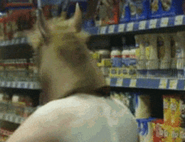 Shocked Not Safe For Work GIF