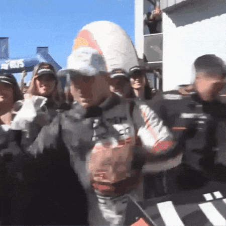 Feliz GIF