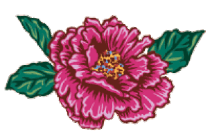 Bgbiancaggibon Sticker by BG