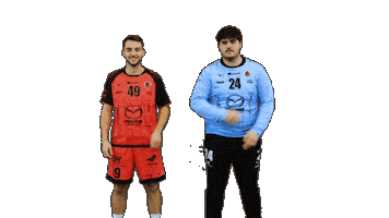 Handball Dragon Sticker by HCCA