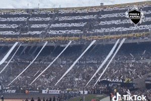 Bfr Escudo Botafogo GIF