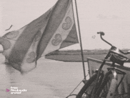 Frysk Ffaa GIF by Fries Film & Audio Archief