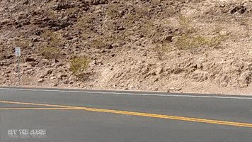 ford truck GIF by Off The Jacks
