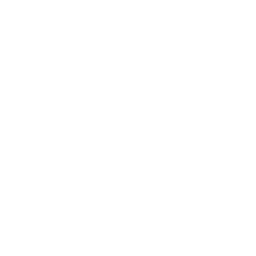 VGN Nürnberg Sticker