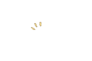 Star Sticker