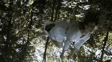 Forests Floating GIF by Zella Day