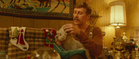 dog GIF by The Orchard Films