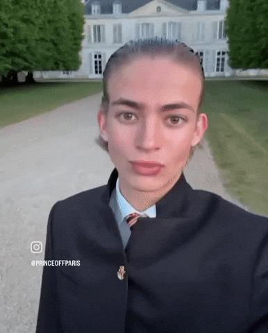 Paris GIF