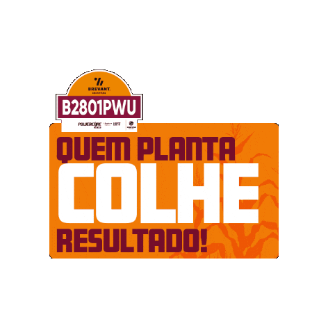 2801 Sticker by Brevant Sementes