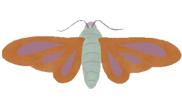 Moth Sticker by BeWILDerwood