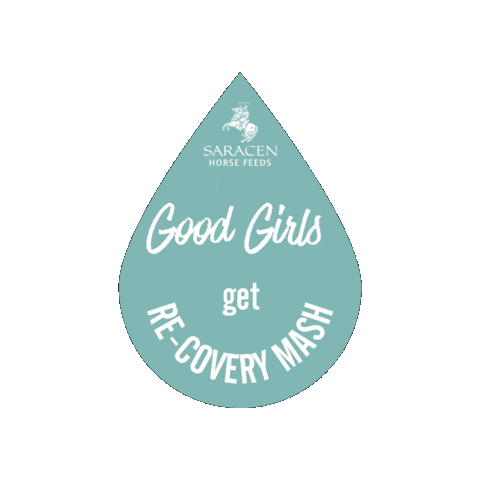 Recoverymash Sticker by SaracenHorseFeeds