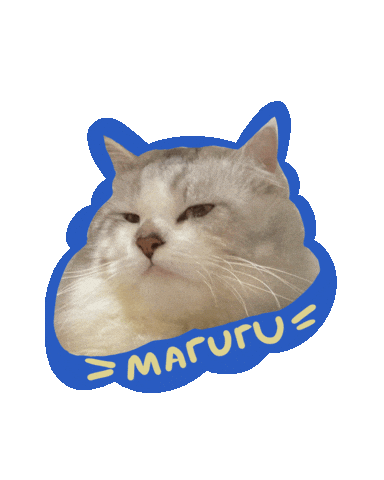 Cat Meow Sticker