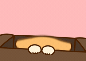 Please Please Want GIF by Bichi Mao