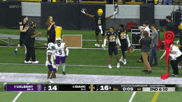 Fcs Football GIF by NCAA Championships