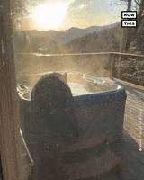 Hot Tub Bear GIF by NowThis