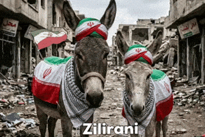 ذيل ايران GIF