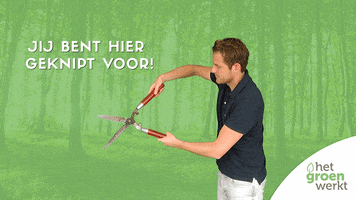 Boom Plant GIF by Het Groen Werkt
