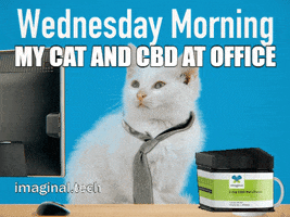 Tired Wednesday Morning GIF by Imaginal Biotech