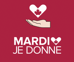 Mardijedonne GIF by GivingTuesday Canada