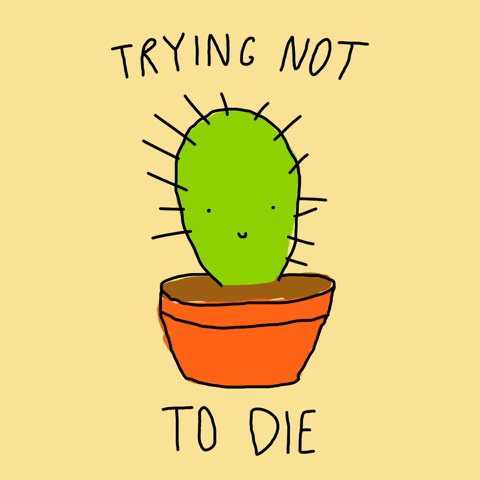 stickfiguregirl plant death cactus die GIF