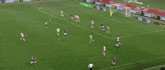 Zirkzee GIF