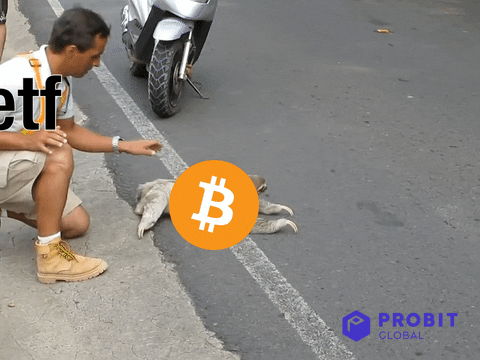 Crypto Bitcoin GIF by ProBit Global - Find & Share on GIPHY
