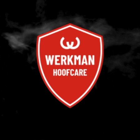 GIF by WerkmanHoofcare