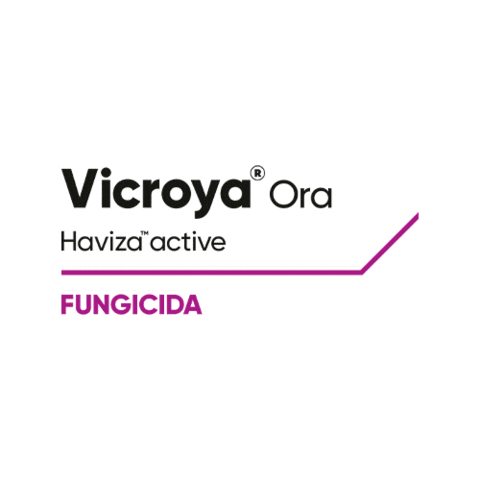 Vicroya Sticker by Cortevapy