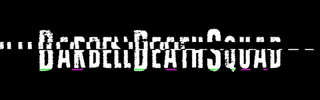BDS GIF