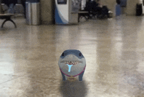 Brain Dead Jeff GIF