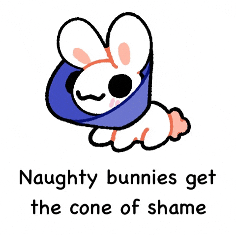 Bunny GIF