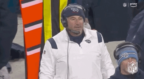 Mike Vrabel Football GIF by NFL